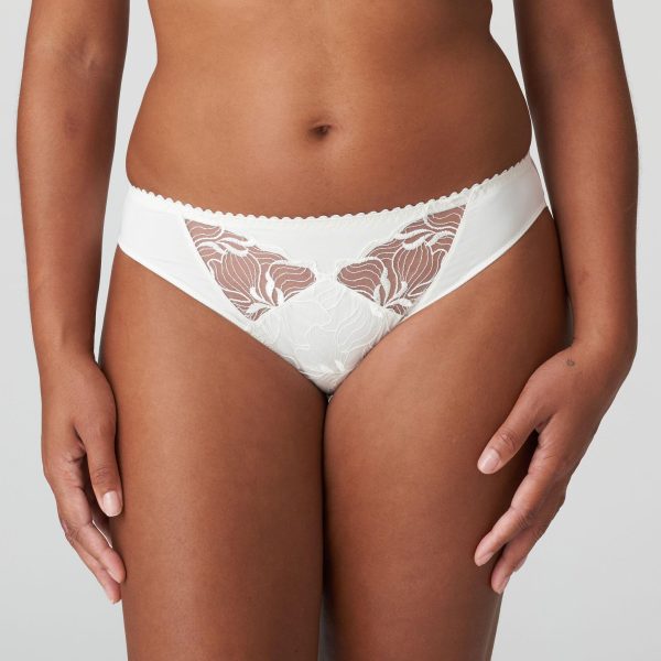 PrimaDonna Springdale Brief